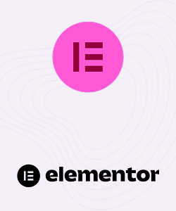 Elementor Pro Plugin FeoNext
